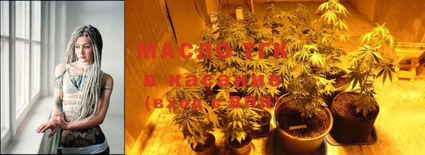 мдпв Козельск