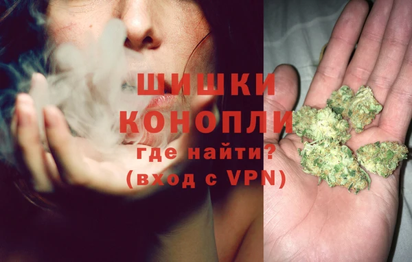 мдпв Козельск