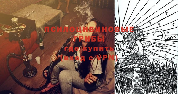 мдпв Козельск