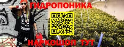 прущие крисы Будённовск