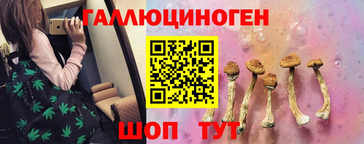 Галлюциногенные грибы GOLDEN TEACHER Ливны